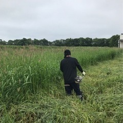 河川敷の草刈りの画像
