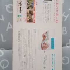 Wiiザッパー＋ヌンチャクの画像