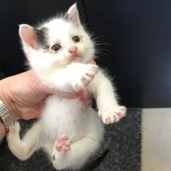 元気いっぱいな男の子　生後1か月