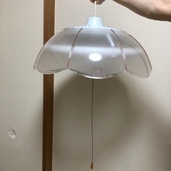 お話し中　和室に合う照明器具　蛍光灯40+30形