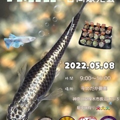 5月8日　合同販売