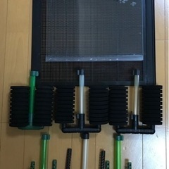 水槽・アクアリウムの画像