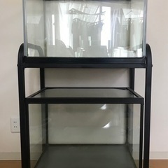 水槽・アクアリウム