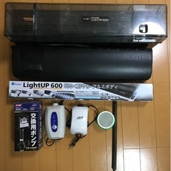 水槽・アクアリウムの画像