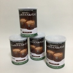 サバイバルパン2  チョコチップ　2個入り　4缶　お試しに！　賞...