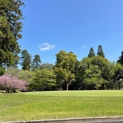 楽しくラウンドしましょう⛳️
