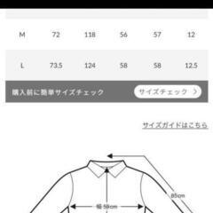 AZUL　スーピマコットンシャツの画像