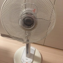 東芝扇風機/30cm F-LN8 Wホワイト