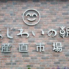 メダカ(各種)の画像