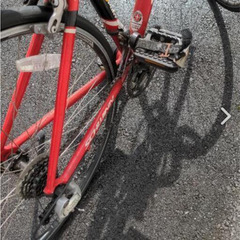 ＳＣＨＷＩＮＮ　ＦＡＳＴＢＡＣＫの画像
