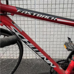 ＳＣＨＷＩＮＮ　ＦＡＳＴＢＡＣＫの画像