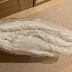 未使用 トゥルースリーパー肌がけ&枕の画像