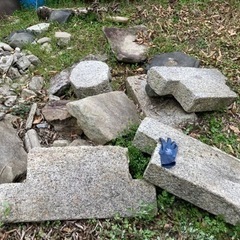 庭石・灯籠・切石もらって下さい