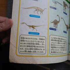 恐竜大集合の画像