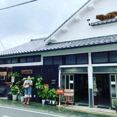 菊池市【気功メディテーション教室】の画像
