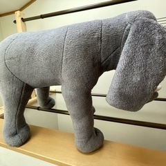 ゾウのぬいぐるみの画像