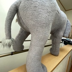 ゾウのぬいぐるみの画像
