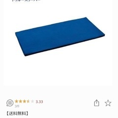 【新品】ミニトゥルースリーパー　ごろ寝マット①
