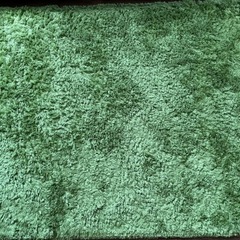 定価7千円超。ラグ カーペット 30mmの画像