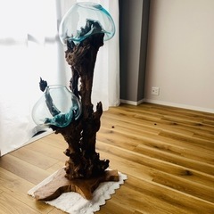 流木 アクアリウム 吹きガラス オブジェ バリ島