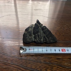 鑑賞石 観賞石 置き石