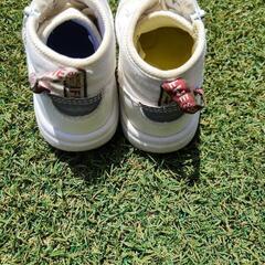 イフミー　14.5cmの画像