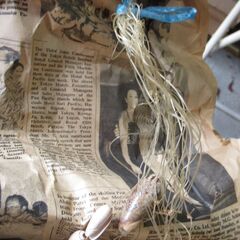 貝殻の暖簾の画像