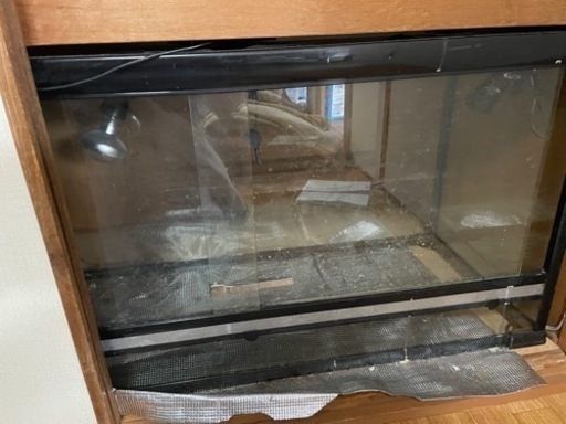 爬虫類ケージ1260