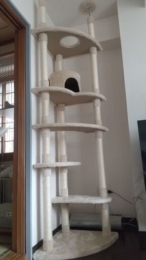 つっぱりキャットタワー