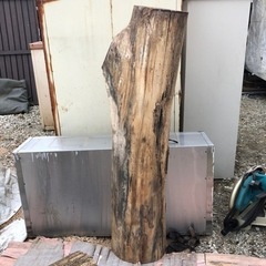 ケヤキ一枚板の画像