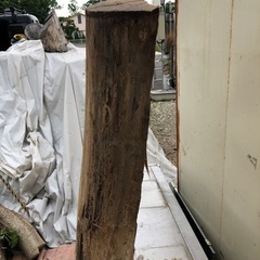 ケヤキ一枚板の画像