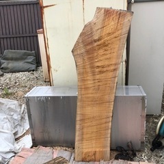 ケヤキ一枚板①の画像