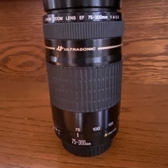 Canon カメラ　その他色々　【決まりました】の画像
