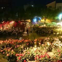 ５月１４日(土)福山バラ祭り − 広島県