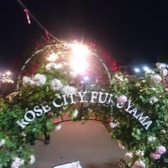 ５月１４日(土)福山バラ祭り - メンバー募集