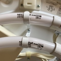 照明の画像
