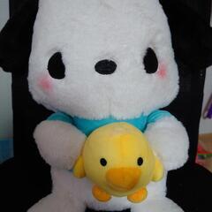 ポチャッコぬいぐるみ