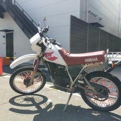 YAMAHA DT50