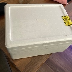 発泡スチロールの箱