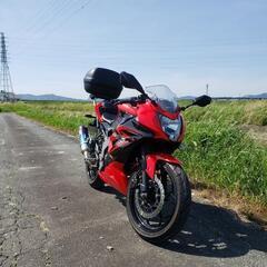 カワサキ ninja250sl 14,010km