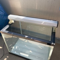 コトブキ水槽とGEX外部濾過の画像