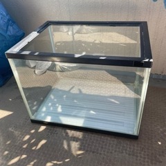 コトブキ水槽とGEX外部濾過の画像