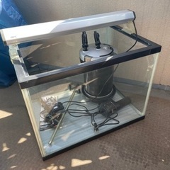 コトブキ水槽とGEX外部濾過の画像
