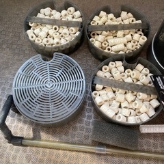 コトブキ水槽とGEX外部濾過の画像