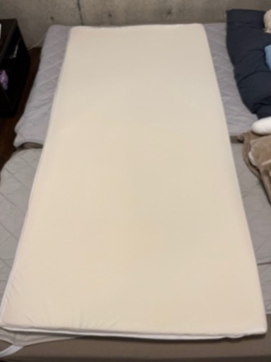 【値下げ 7,000円→4,000円】トゥルースリーパー プレミアケア 低反発 マットレス トッパー シングル 厚さ5㎝