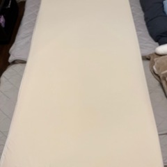 【値下げ 7,000円→4,000円】トゥルースリーパー プレミ...