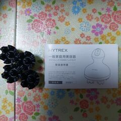 家庭用美顔器