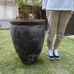 大きな壺　メダカ　鉢　つぼ