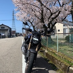 ツーリング仲間募集 - 友達