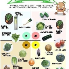 長年果樹農家をしていた父が作った野菜などを500円で！（洋）の画像
